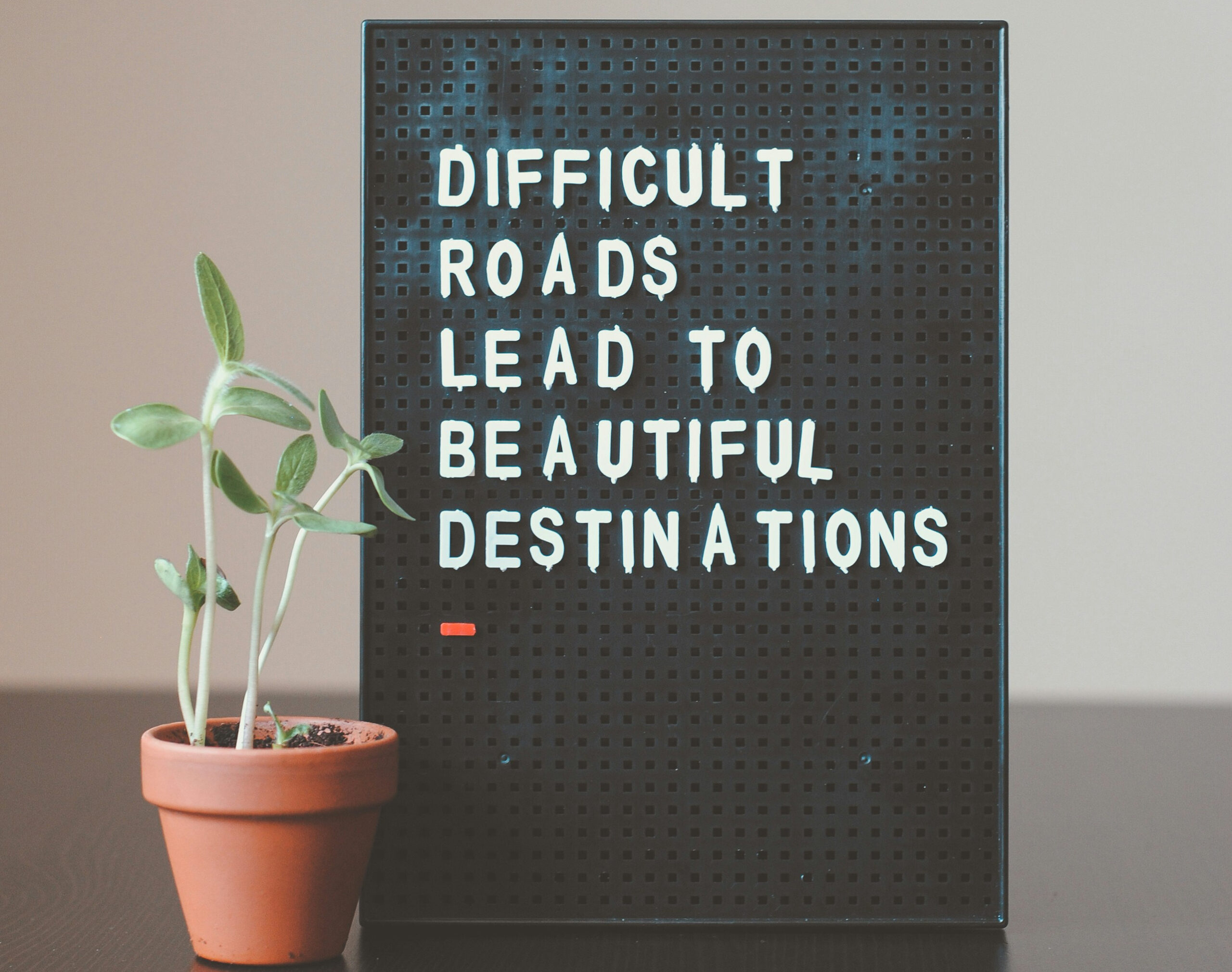 inspirational image of a quote 'difficult roads lead to beautiful destionations next to a potted plant , to inspire building online income for Gen X
